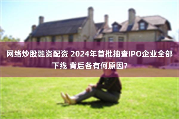 网络炒股融资配资 2024年首批抽查IPO企业全部下线 背后各有何原因？