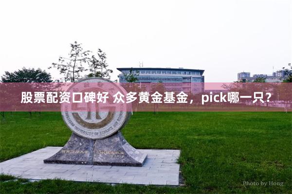 股票配资口碑好 众多黄金基金，pick哪一只？