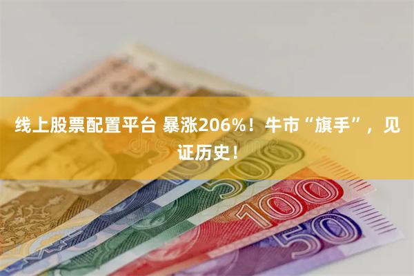 线上股票配置平台 暴涨206%！牛市“旗手”，见证历史！