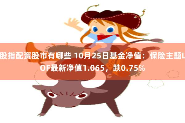 股指配资股市有哪些 10月25日基金净值：保险主题LOF最新净值1.065，跌0.75%