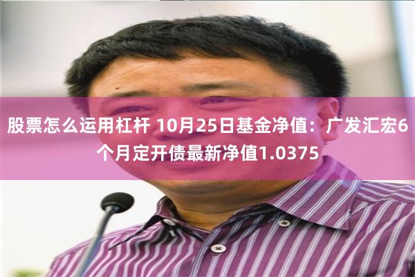 股票怎么运用杠杆 10月25日基金净值：广发汇宏6个月定开债最新净值1.0375